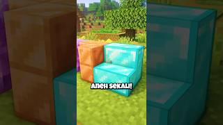 Block Paling ILLEGAL Di Minecraft [upl. by Wendie722]