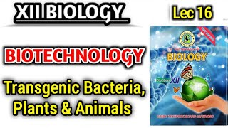 Transgenic Bacteria Plants and Animals lec 16  12th biology [upl. by Kalina]