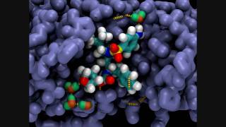 Amprenavir In a HIV Protease Active Site [upl. by Sherlock]