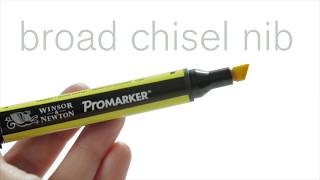 Tutorial  How to use the Winsor amp Newton ProMarkers [upl. by Ybab]