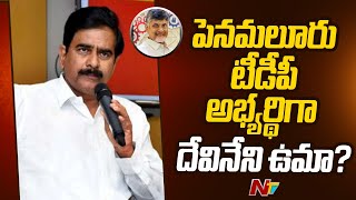 Penamaluru పెనమలూరుకు దేవినేని ఉమా పేరును పరిశీలిస్తున్న టీడీపీ  Devineni Uma  TDP  Ntv [upl. by Nida]