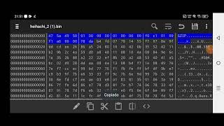 HEX EDITOR costume parte 1 [upl. by Astera]