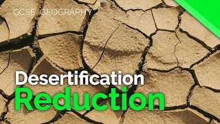 Reducing the risk of desertification  AQA GCSE 91 Geography [upl. by Artapoelc]