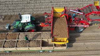 Kartoffelernte in Niedersachsen  Einblick in den Betriebsablauf Potato harvest in Germany 4K farmer [upl. by Ailesor418]