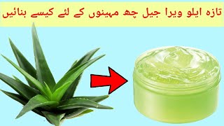 Homemade Aloe Vera Gel amp Preserve it – 6 Months ka Liya Aloe Vera Gel Ghar Par Banaye in HindiUrdu [upl. by Yemiaj]