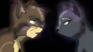 WOTF Bluestars Prophecy AMV  Gravity of Love [upl. by Dorine]