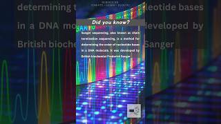 Sanger Sequencing simplified [upl. by Evangelina]