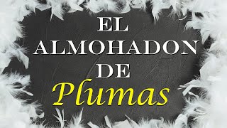 El almohadón de plumas Audiolibro español latino [upl. by Zaneski]