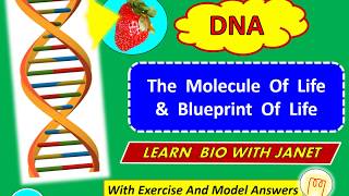 Biology Form 4 KSSM Chapter 4 45 DNA Nucleic Acid [upl. by Edson625]