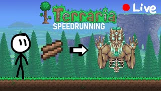 Spending 1 Year Learning How To Speedrun Terraria Week 22 [upl. by Margaret]