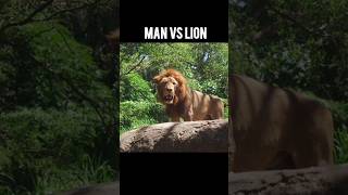 MAN vs LION 😂 [upl. by Calle133]