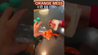 MAKING AN ORANGE MESS shorts [upl. by Ellenad]