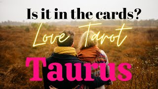 TAURUS Love Tarot November 2024–Friends first turns to more❤️❤️ [upl. by Nnywg]