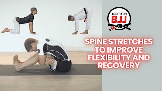 Yoga Follow Along  Spine Stretches to Improve Flexibility and Recovery [upl. by Lenor]