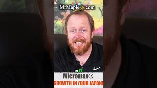 Boost Your Japanese Maples Growth with Micromax [upl. by Xenos]