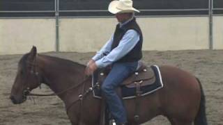 Horse Training for the Stop amp Back Up  Basic training to sliding stops for reining amp cutting [upl. by Magdaia]