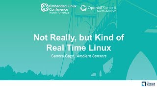 Not Really but Kind of Real Time Linux  Sandra Capri Ambient Sensors [upl. by Ellezaj721]