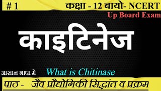 काइटिनेज क्या है ।। Chitinase ।। biology ncert upboard class12SudheerSirJi [upl. by Mchugh462]