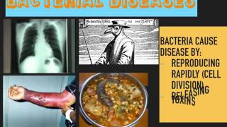 Communicable Diseases GCSE [upl. by Irwin]