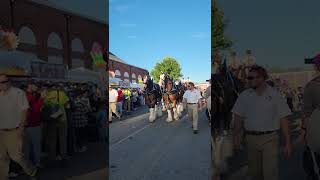 Hallamore Clydesdales Parade at The Big E West Springfield Massachusetts🐎 Shorts [upl. by Jaquiss]