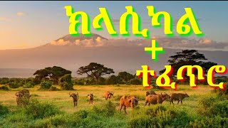 ክላሲካል Best ethiopian Instrumental Music Collections eritrea Classical Music non StopEthioTOPs [upl. by Skyler]