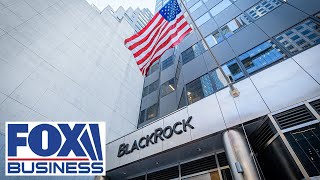 BlackRock’s ESG investments are a ‘drop in the bucket’ Vivek Ramaswamy [upl. by Malik941]