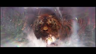 Lost Ark Striker Echidna Double Snake Positioning Tiger [upl. by Kosse12]