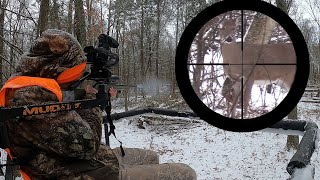 DEER VS 65 CREEDMOOR  PA Rifle Hunting 2021 [upl. by Ellehcor233]