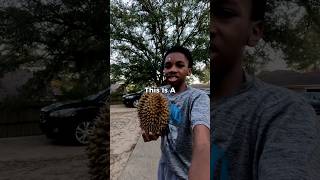 I Tried The Worlds Smelliest Fruit 🤢 [upl. by Menard]