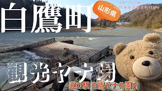 【日本全国市区町村巡り】山形県白鷹町 道の駅白鷹ヤナ公園で鮎を獲る光景を想像しよう！ [upl. by Karab]