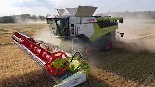 TOP DÉPART  MOISSON 2023   2x CLAAS LEXION 8700 TT sur ce Gros Chantier de moisson [upl. by Long642]