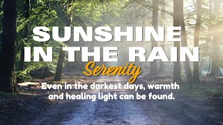 Soft Piano Music  Healing Tunes to Ease the Mind  Sunshine in the Rain [upl. by Danas669]