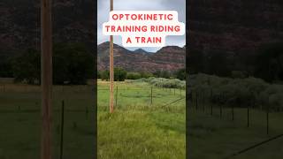 Optokinetic Training for Visual Vertigo Riding Train [upl. by Ramberg315]