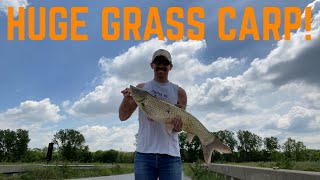 MASSIVE GRASS CARP Nebraska Bowfishing 2023 [upl. by Tatum21]