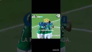 GOL DE CHILENA DE RAUL JIMENEZ VS PANAMA [upl. by Nadaha]