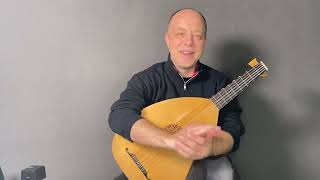 The Fundamentals of Lute Playing Episode 43 Ring Finger Planting [upl. by Alexandr]