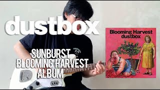 DUSTBOX  SUNBURST  GUITAR COVER [upl. by Annawyt]