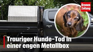 Erstes Hitzeopfer Trauriger HundeTod in einer engen Metallbox  kronetv NEWS [upl. by Hanid553]