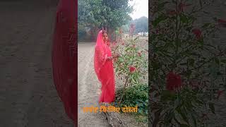 Kanha savat Sange Kata Tara Chandni Lagake machhardani rajow [upl. by Adaha270]