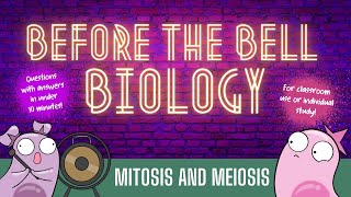 Mitosis and Meiosis Before the Bell Biology [upl. by Airym]