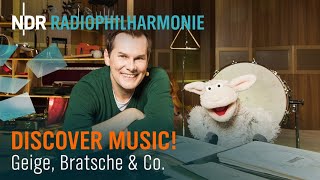 Musikwissen Geige Bratsche amp Co  Klassik für Kinder  Malte Arkona  NDR Radiophilharmonie [upl. by Tasiana]