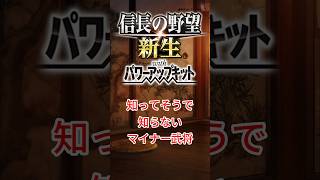 信長の野望新生pk 知ってそうで知らないマイナー武将＃3 信長の野望新生pk 歴史 マイナー武将 [upl. by Mae]