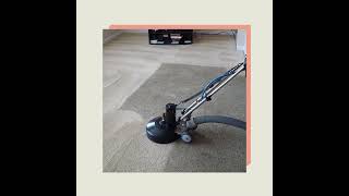 Carpet Cleaners Ashburton [upl. by Regnig50]