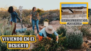 142 ASI VA LA CONSTRUCCIÓN DEL GALLINERO🐓SEMBRANDO AJO 🧄 vlog campo [upl. by Araed]