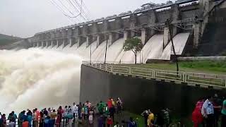 Jayakwadi Dam gates open [upl. by Godard]