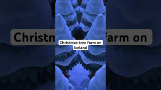 Christmas tree farm on Iceland acnhcommunity acnhgameplay christmas acnh gaming [upl. by Harbed246]