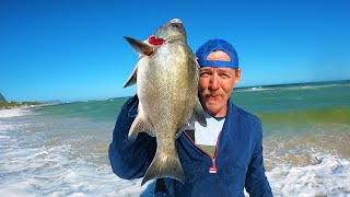 Catching CAPE STUMPNOSE STEENBRAS and A Decent Size GALJOENGaljoen Season Closing Soon [upl. by Irod792]