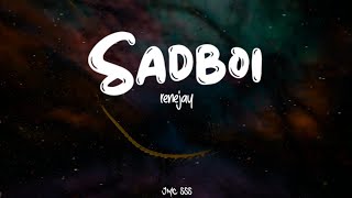 Renejay  Sadboi lyrics [upl. by Haneehs892]