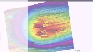 Optical Profilometer Universal Rtec Instuments [upl. by Nerrak647]