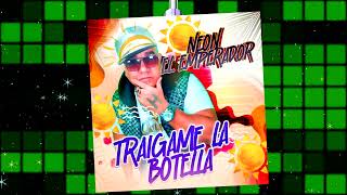 TRAIGAME LA BOTELLA NEON LOS TIBURONES VIDEO PROMO [upl. by Une]